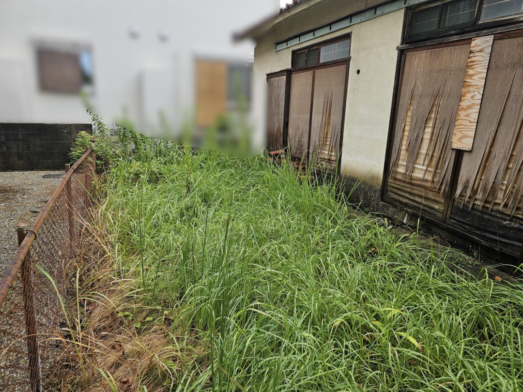 森忠建設造園の施工事例 ビフォー：草が腰の高さまで繁茂していた空き家の庭（京都府南部の実例）